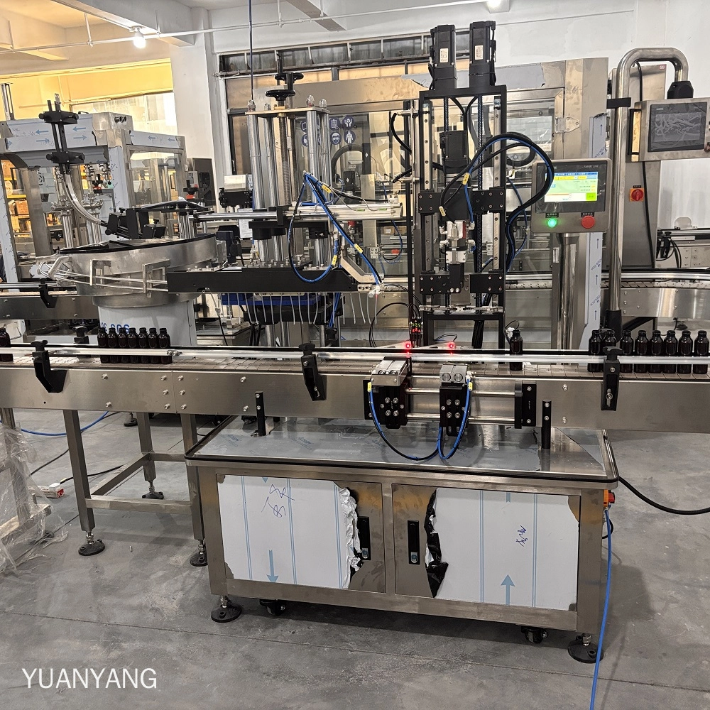 pump head capping machine (3)