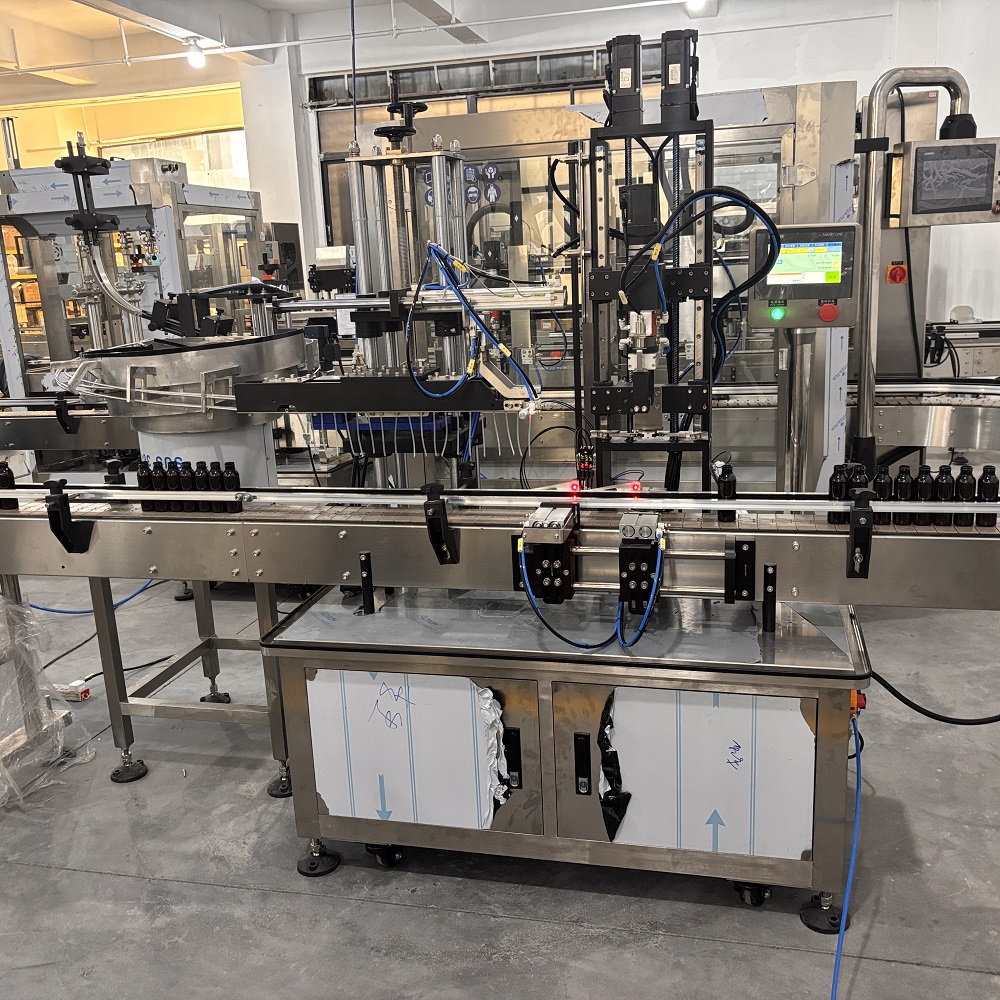 pump head capping machine (3)