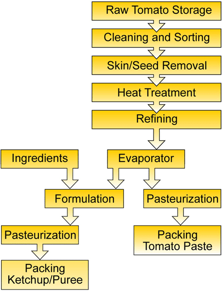 Tomato ketchup process flow chart