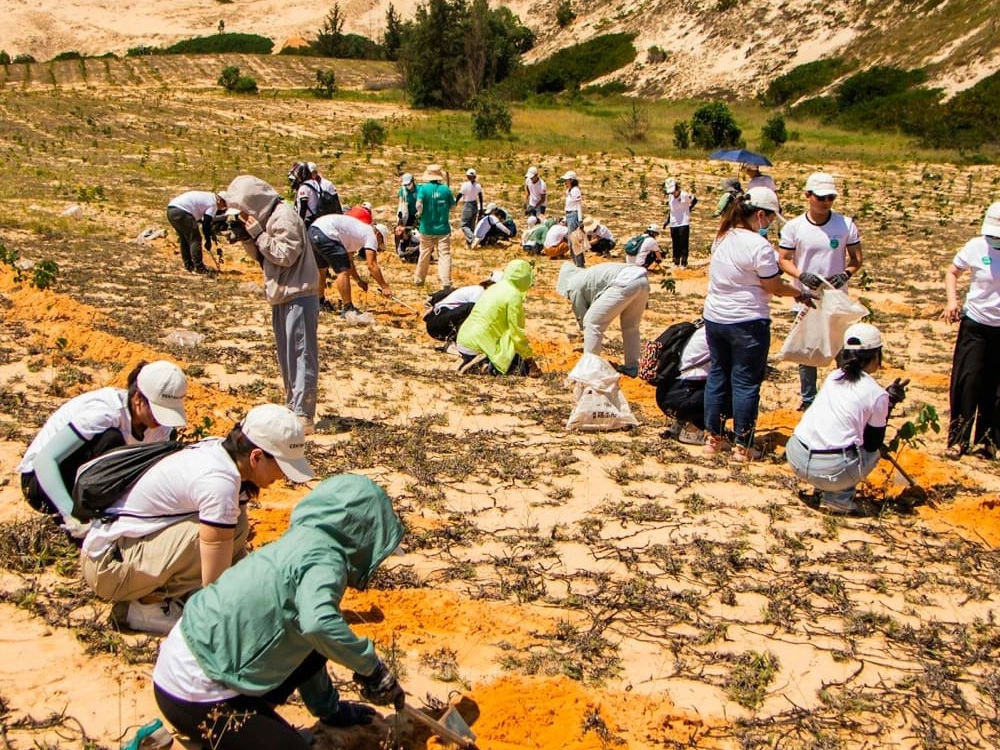 Güneş enerjili sokak lambalarına talep