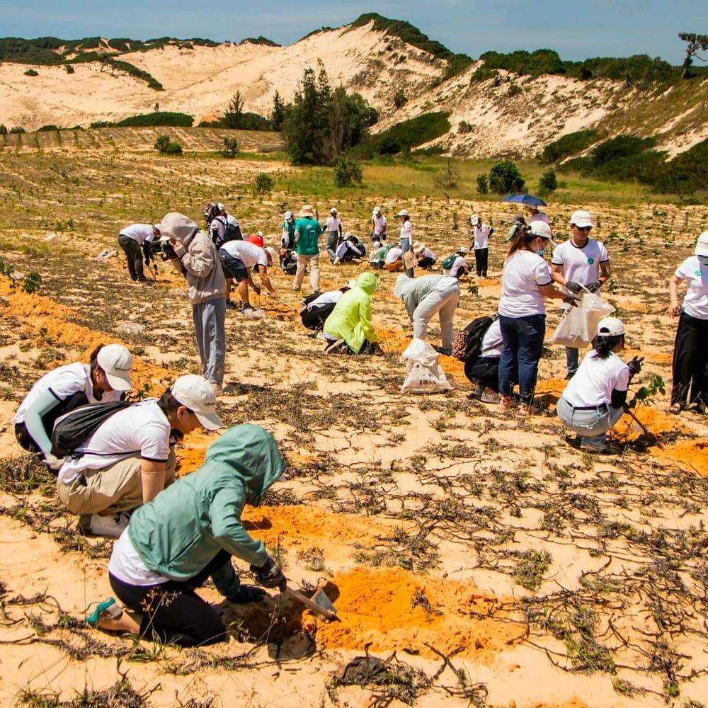 Queneng Güneş Enerjili Sokak Lambaları Çevresel ve Toplumsal Etki İçin
