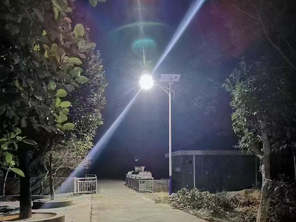 solarlamp gecesi