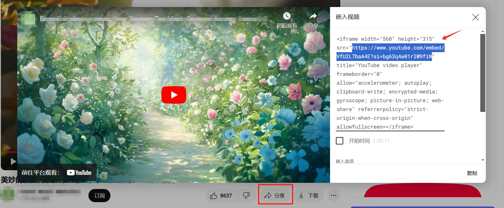 src的值 src的值