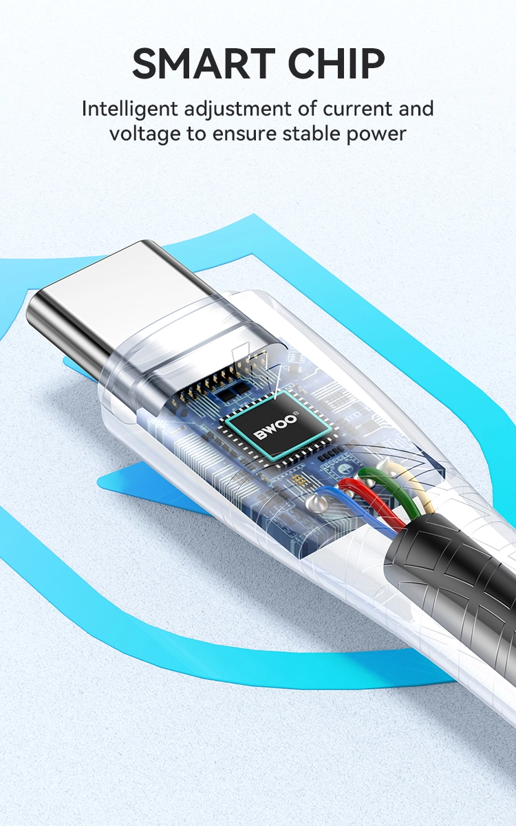 3 芯片和安全 - BWOO