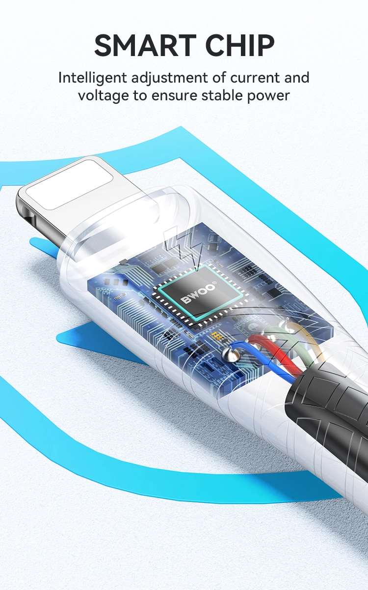 3 芯片和安全 - BWOO