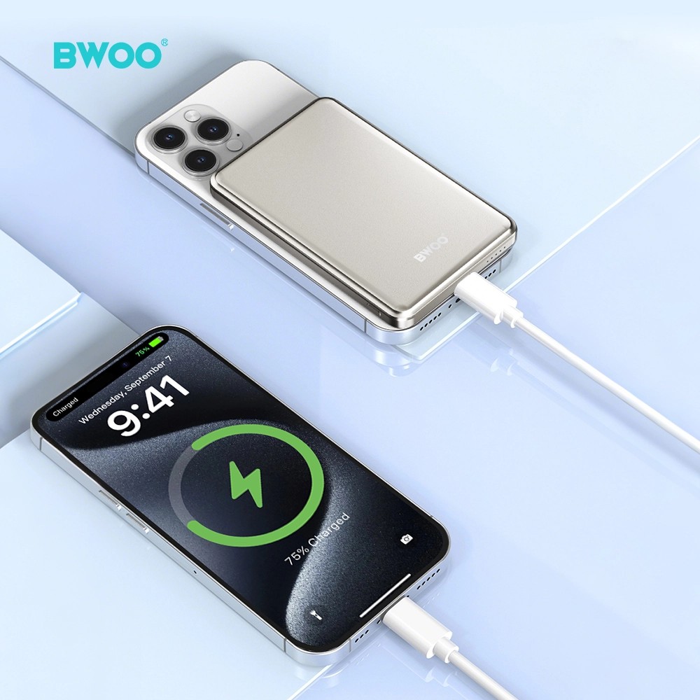 主图5 - BWOO 主图5 - BWOO