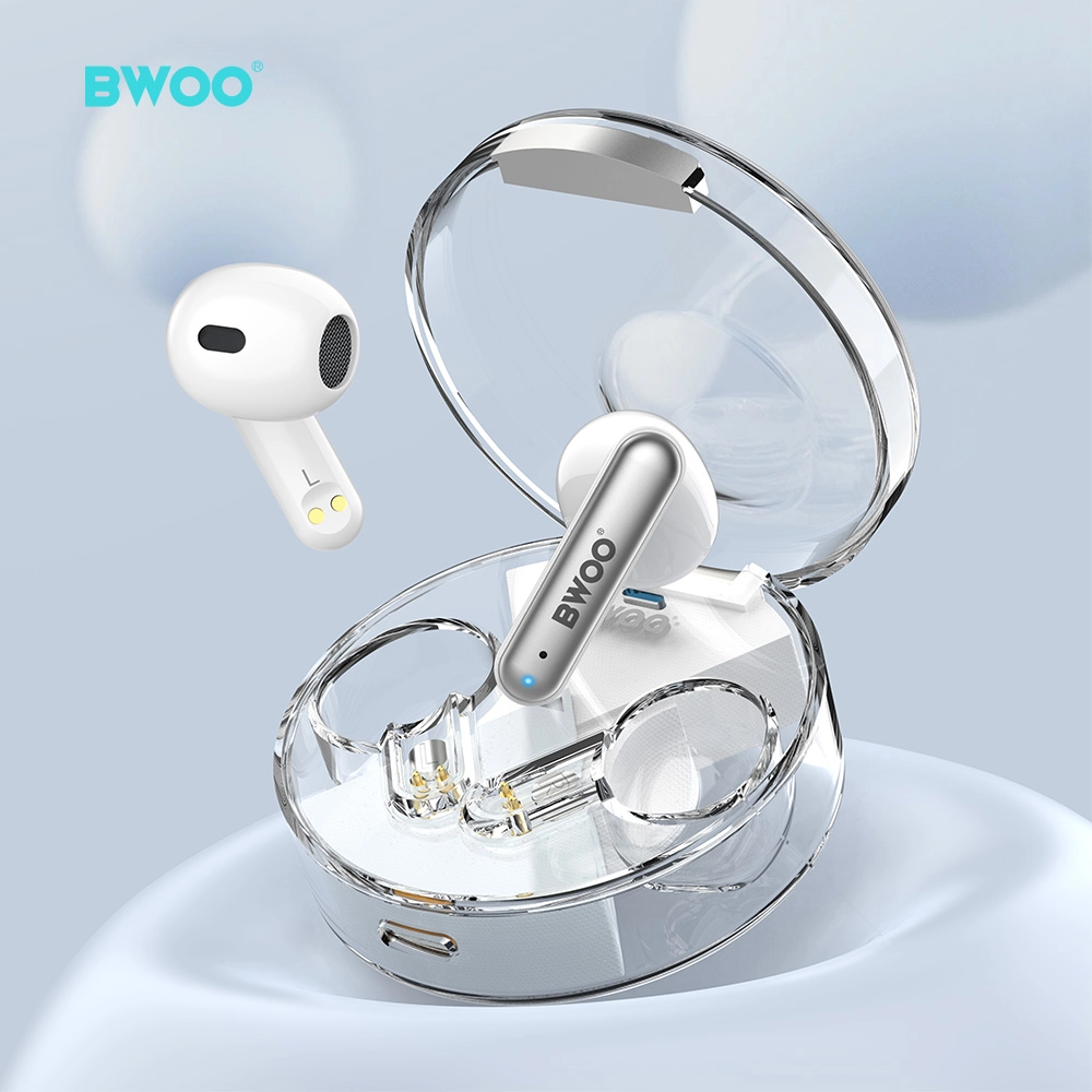 4 - BWOO