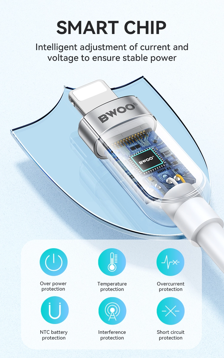 3 芯片和安全 - BWOO