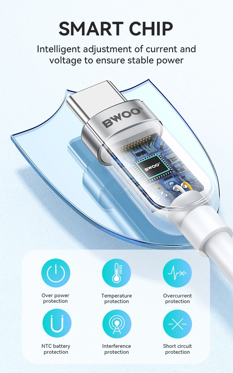 3 芯片和安全 - BWOO