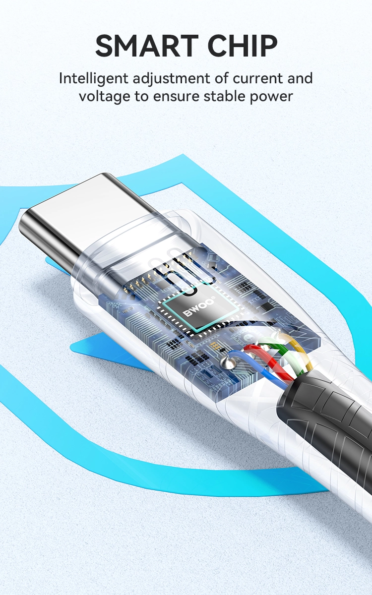 3 芯片和安全 - BWOO