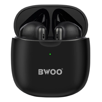BS-100 - BWOO