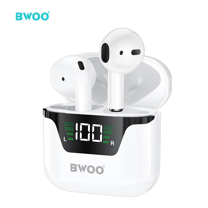 BW50(1) - BWOO