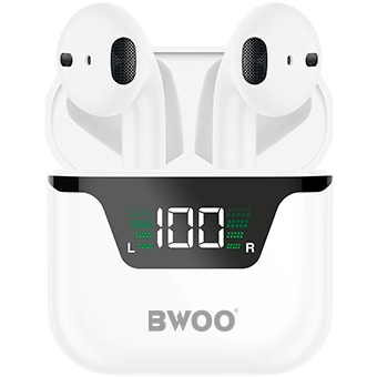 BW50 - BWOO