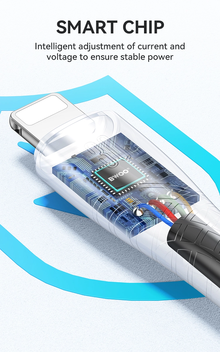 3 芯片和安全 - BWOO