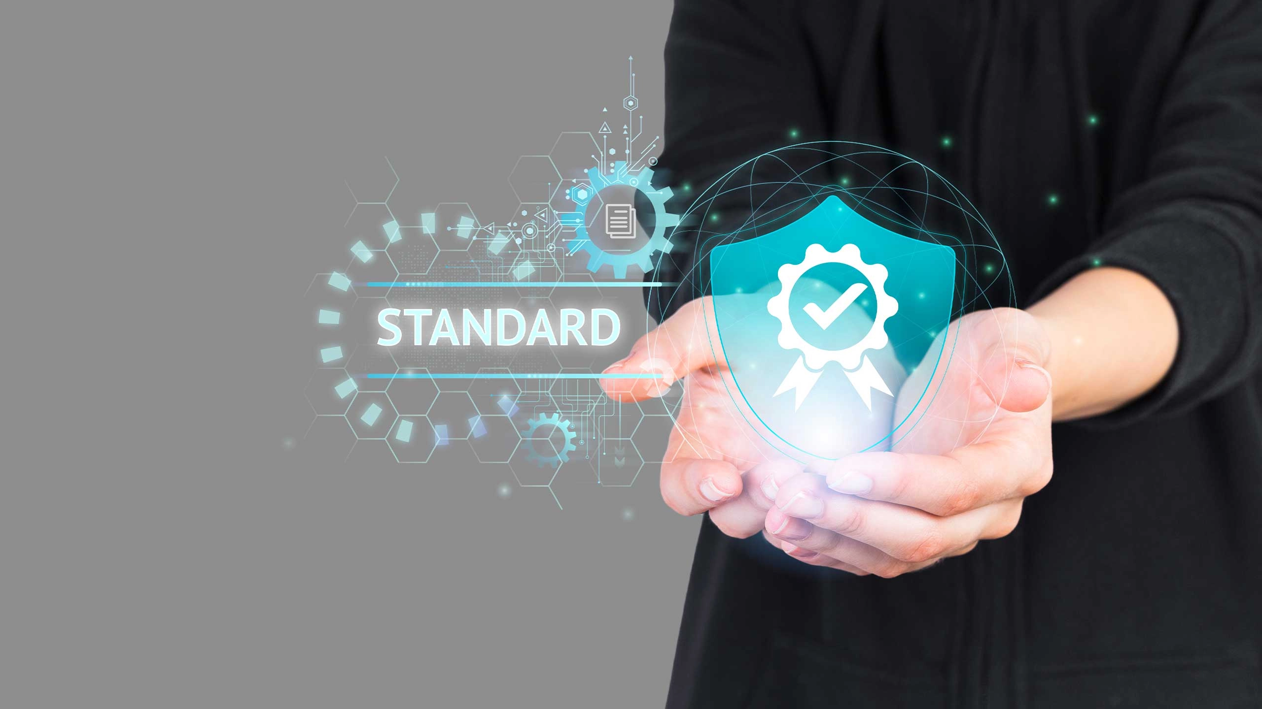 Warranty-Period - BWOO