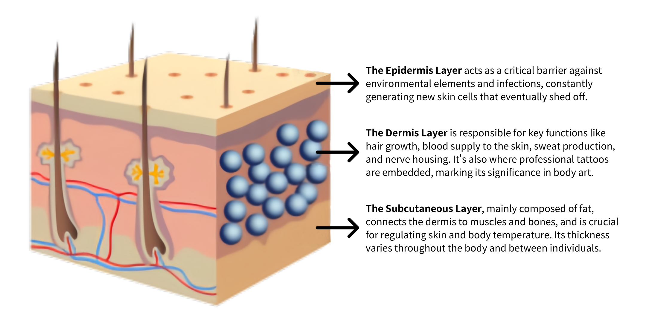 Mechanism of Tattoos 2