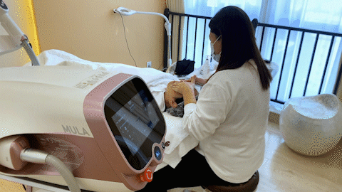professional ipl machine