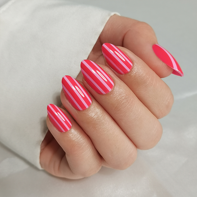 press on nail case