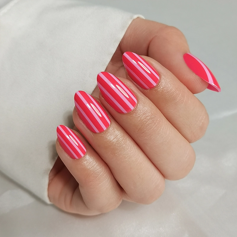 press on nail case