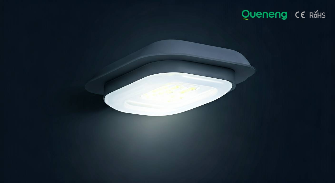 شرح تصنيف IP للإضاءة الخارجية | دليل الخبراء في Quenenglighting - 1 شرح تصنيف IP للإضاءة الخارجية | دليل الخبراء في Quenenglighting - 1